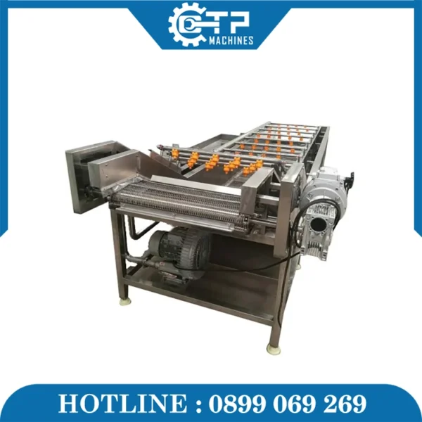 Máy Rửa Rau Củ Quả Công Nghiệp GY-QP-2500 - Ảnh 4